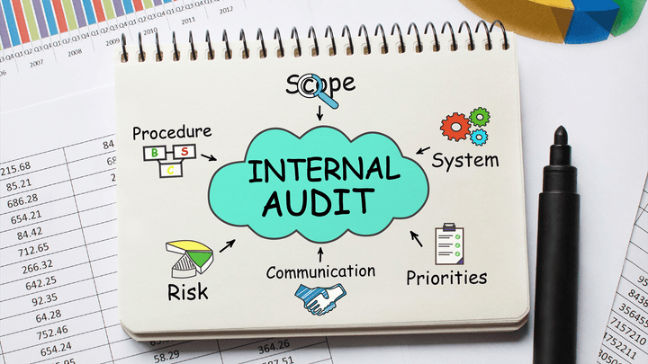 word cloud that says internal audit on sketchpad with lines pointing to other parts of its ecosystem